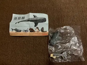 하시모토 미오의 조각 해유관 한정판 고래상어