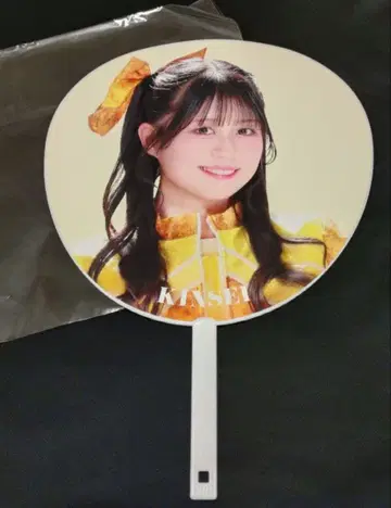 사과 아가씨 금성 부채