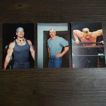 호크 워리어 사진 3장 세트