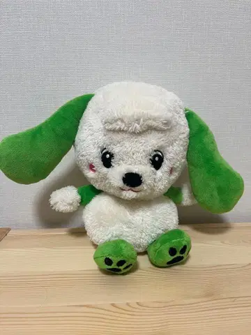 이이네 이이네 바 완완