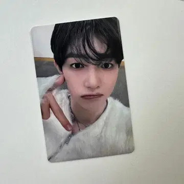 ZB1 패배 B상 이쪽 봐 윷놀이 제베원 장하오 트레이딩 카드 2장