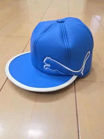 COBRA 블루 캡 타입 DR용 골프헤드커버