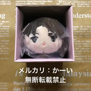 Fate FGO 모찌모찌 마스코트 모찌마스 미니 [ 코토미네 키레이 ]