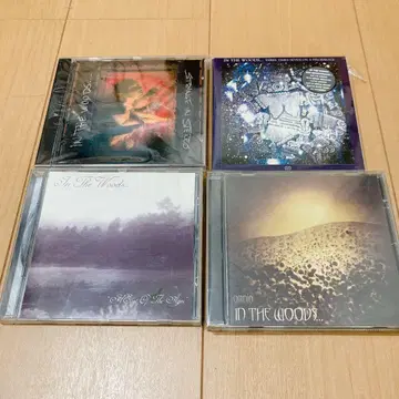 In The Woods - 앨범 4장 세트