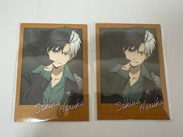 WIND BREAKER 윈브레 로프트 사진풍 카드 벚꽃