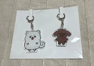 Kiramune 나미카와 다이스케 아 니바 아크링 키링