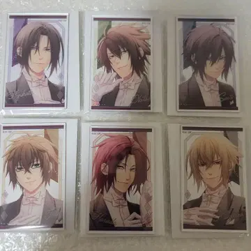 박앵귀 아크카 컴프