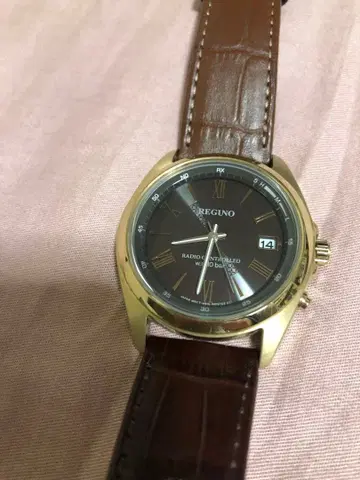 REGUNO 솔라 전파 시계 브라운 가죽