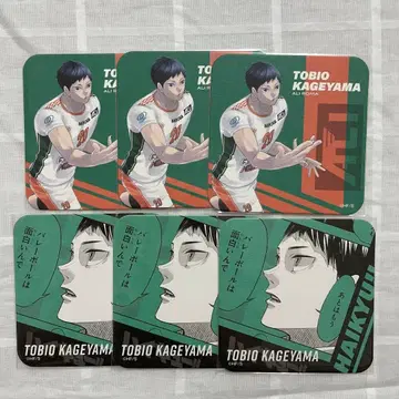 하이큐 v리그 코스터