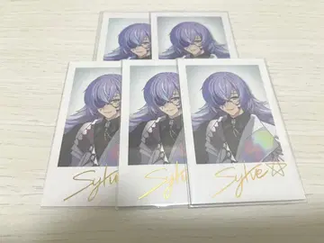 니지산지 호시미치 쇼 폴라로이드