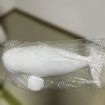 카모가와 씨월드 벨루가 대