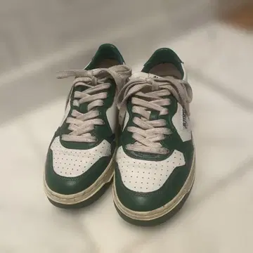 오토 리 그린&화이트 37 댓글 없이 구매 가능