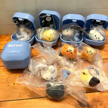 zeroni 퐁퐁 반지 전 9종 세트