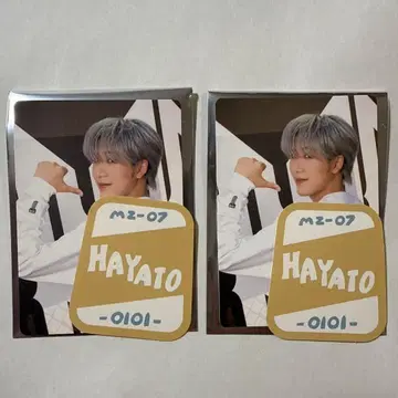 MAZZEL HAYATO 트레이딩 카드