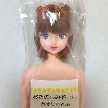 리카짱 캐슬 오타노시미 인형 카오리짱 제니 프렌드 새상품