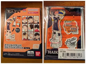 하이큐!! 히나타 쇼요 아크릴 스탠드