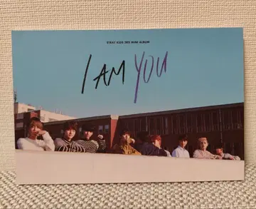 Stray Kids 엽서 세트