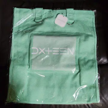 DXTEEN 토트백 GiGO 한정판