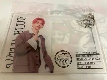 wild blue 미야타케 하야테 아크릴 포토 카드