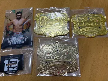 RIZIN 제일복권 낱개 판매 가능