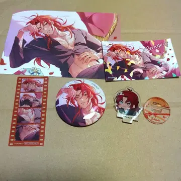 뉴카니 엔텐 생일ver. 묶음 판매