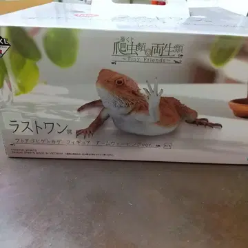 제일복권 파충류 & 양서류 라스트 원상 아르마딜로 리자드