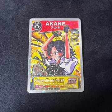 BAND-MAID AKANE 트레이딩 카드