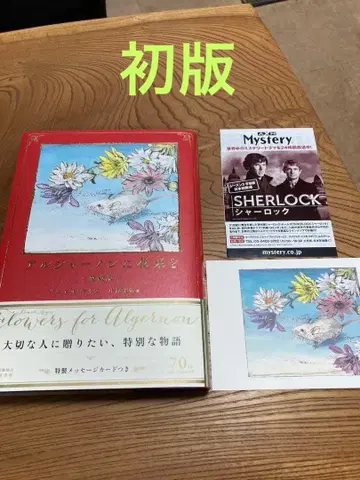 새상품급 미개봉 새상품 알제논에게 꽃다발을 애장판