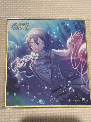 프로세카 카미시로 루이 색지 머메이드 13c