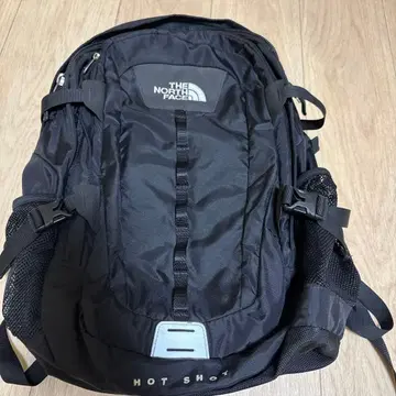 THE NORTH FECE 백팩