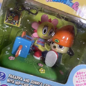 따뜻한 피크닉 포켓 뮤직 장면 컬렉션 파라파라 래퍼