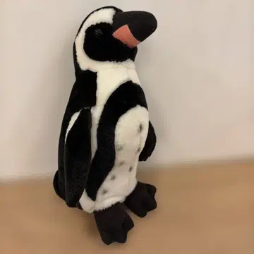 훔볼트펭귄 봉제 인형 10C+1