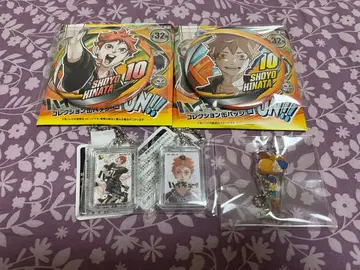 하이큐 히나타 캔뱃지 키링