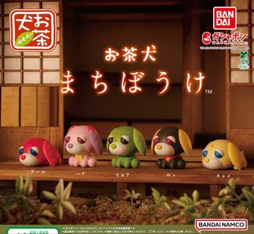 오차이누 기다림 가챠 전 5종 풀컴프 세트