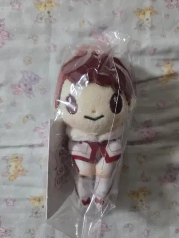 히라노 쇼 춋코리상