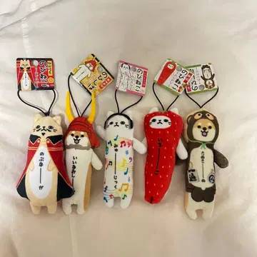 노비시바 노비 고양이 5세트