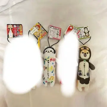 노비시바 노비고양이 3개 세트