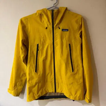 Patagonia 마운틴 후드티 레어 컬러 클라우드 리치 자켓