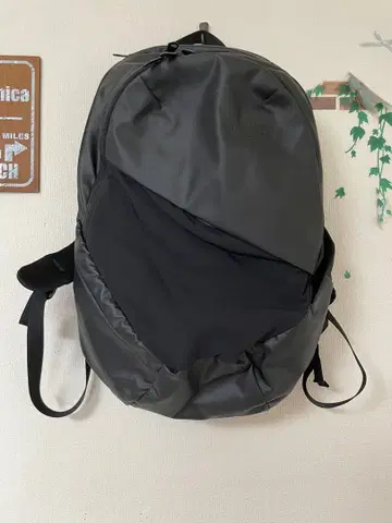 THE NORTH FACE 블랙 백팩