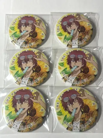 테니스의 왕자님 마루이 분타 캔뱃지 서머 발레 1