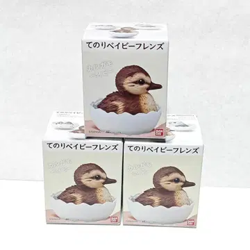 테노리 베이비 프렌즈 칼가모