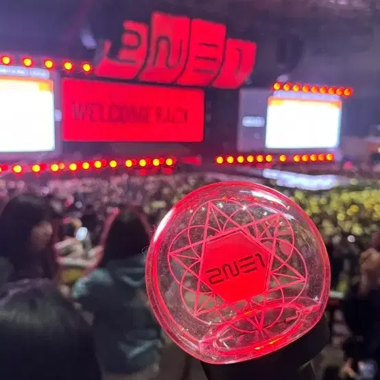 투애니원 2NE1 응원봉