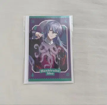 니지산지 호시미치 쇼 KD 스웨터 폴라로이드