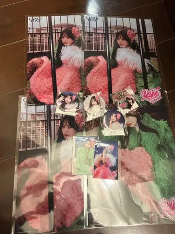 무라카와 히안 10주년 기념 스키복권