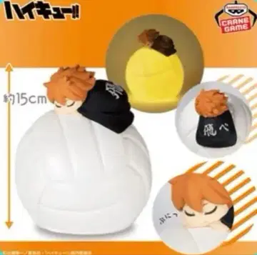 하이큐!! 스야스야 룸 라이트