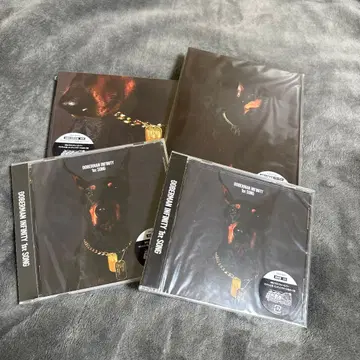 DOBERMAN INFINITY 1st SONG