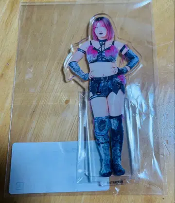 리나 아크릴 스탠드 DMM 온라인 크레인 게임