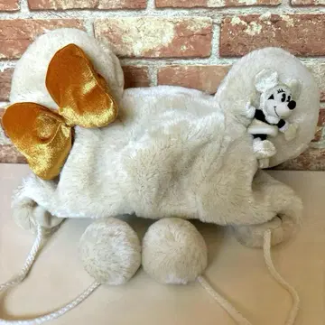 디즈니 팬캡 미키 미니 모자