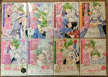 수카 리콘 1~8권 칸베 아키라