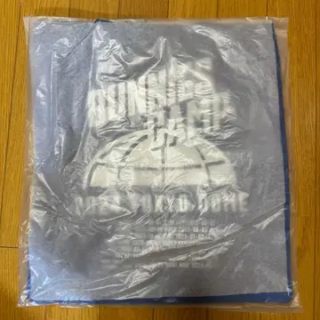 NewJeans BUNNIES CAMP 도쿄돔 토트백